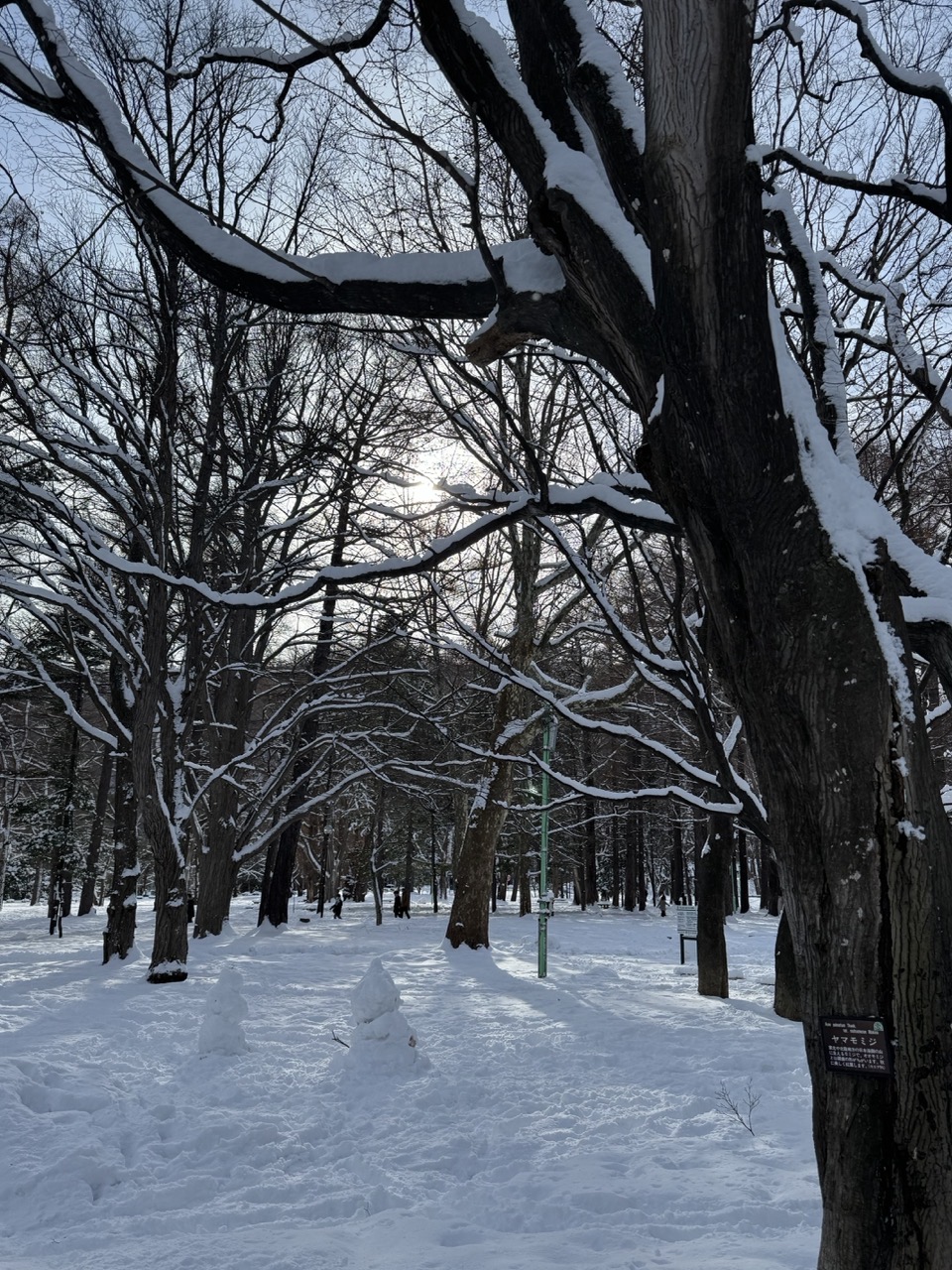 IMG_1595(大).jpeg IMG 1595 大