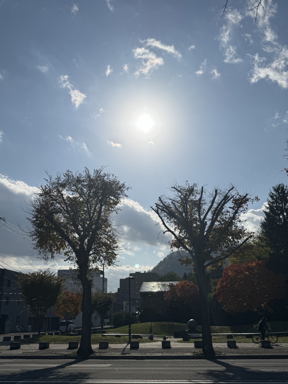 IMG_1009(大).jpeg IMG 1009 大